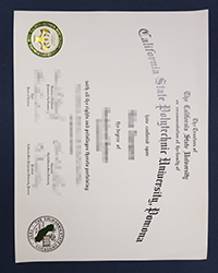 Best fake CPP diploma of Bachelor for sale, order a fake CPP diploma of 2012 edition