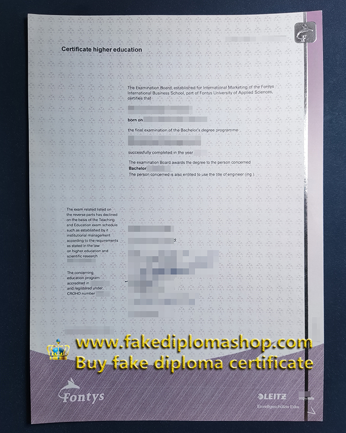 Fontys University Bachelor certificate