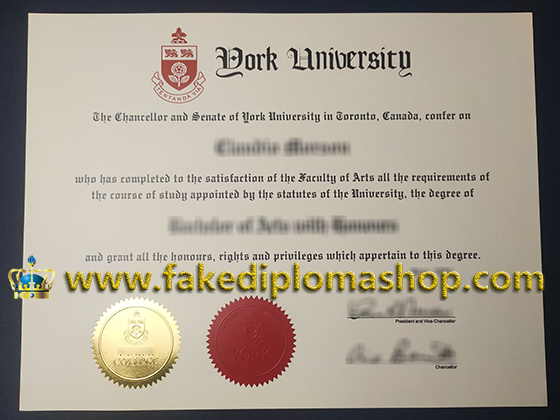 Old York University degree