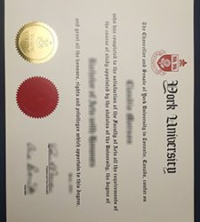 Old York University degree, buy a York University of 1995 edition certificate online