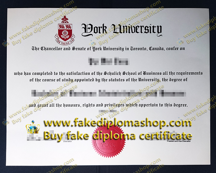 Old edition York University diploma