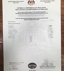 SPM certificate, purchase a fake Sijil Pelajaran Malaysia certificate and transcript online