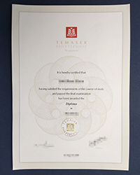 Singapore Temasek Polytechnic diploma, buy a fake TP diploma online