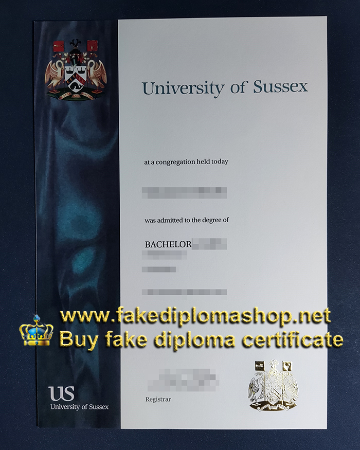Old version University of Sussex degree