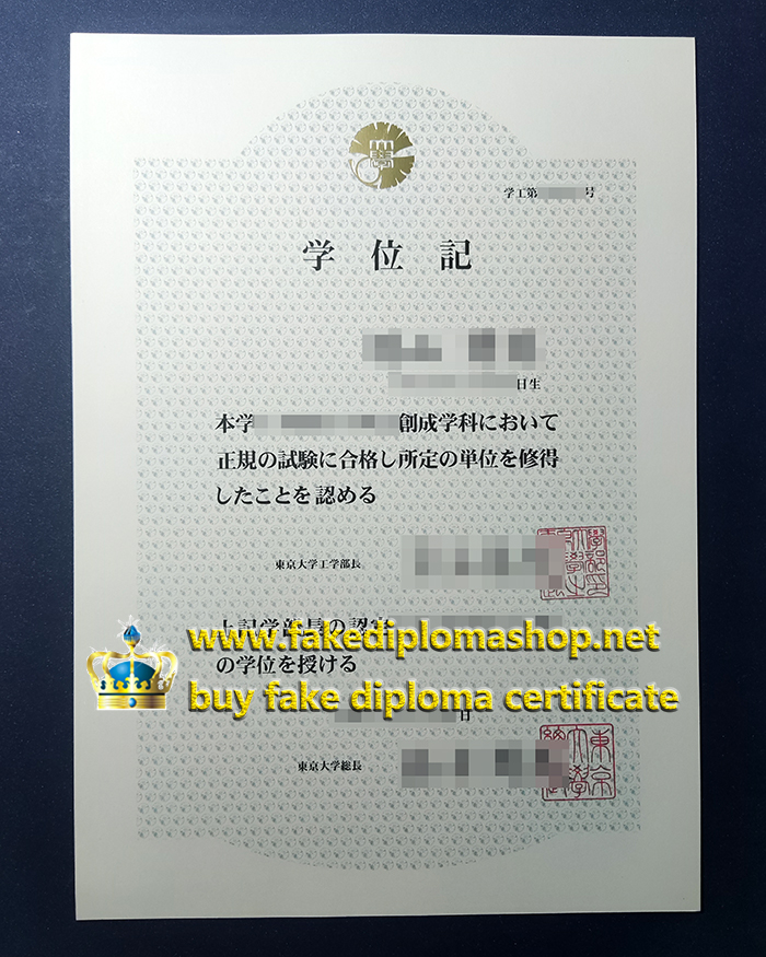 University of Tokyo diploma