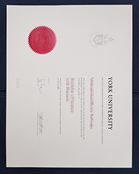 York University diploma of latest edition, buy fake York university diploma