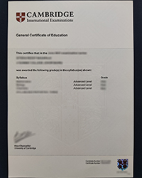 Best Cambridge International Examinations certificate, buy a fake CIE General certificate of Education online