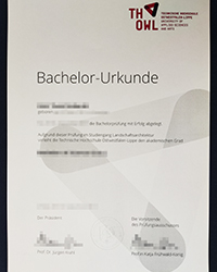 TH OWL certificate, Order a best Technische Hochschule Ostwestfalen-Lippe certificate