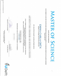 Technische Universiteit Delft certificate, Order a best TU Delft certificate