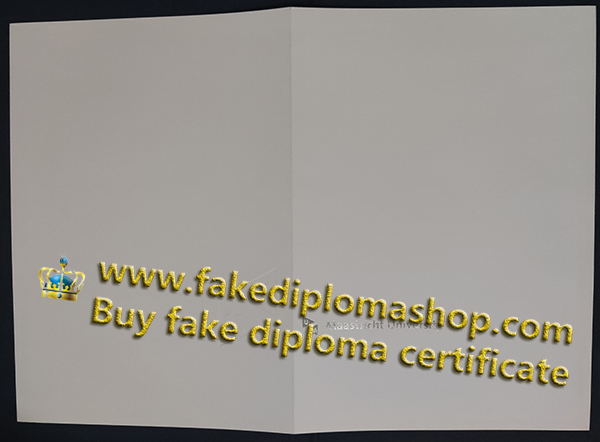 Maastricht University diploma