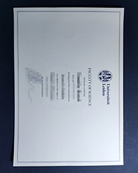 Universiteit Leiden diploma, Purchase a fake Universiteit Leiden diploma