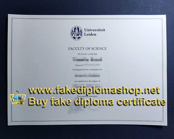 Universiteit Leiden diploma