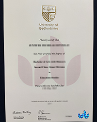 University of Bedfordshire diploma, Buy an official University of Bedfordshire degree online