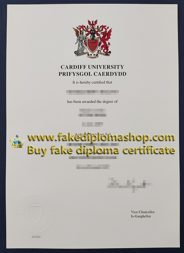 Cardiff University degree