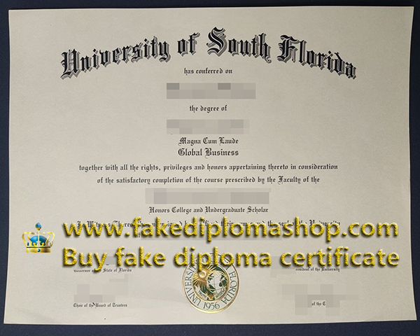 University of South Florida degree