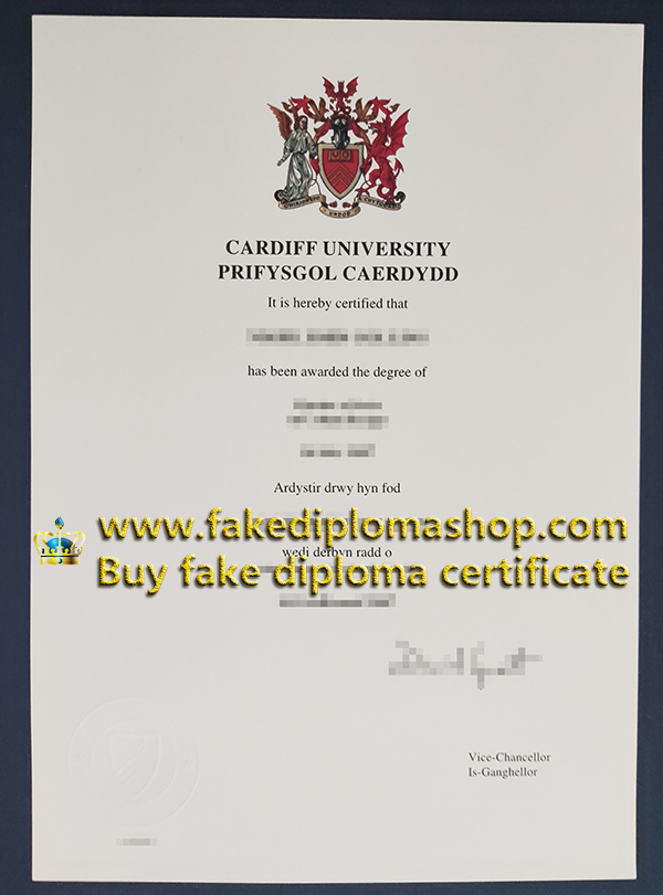 Cardiff University degree