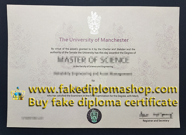 University of Manchester degree