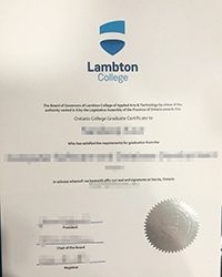 What’s right about the purchase a Lambton College diploma?