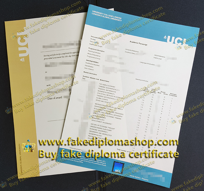 UCL diploma, UCL transcript