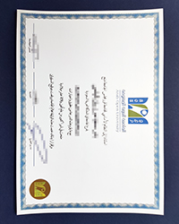 Best AOU diploma for sale, Buy Arab Open University degree now