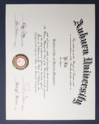 Can I buy a fake Auburn University diploma to replace my Lost AU diploma?