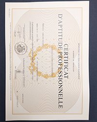 How long to get a fake Académie de Versailles certificate safely?