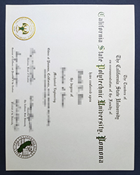 Where to purchase a fake CPP diploma quickly? California State Polytechnic University-Pomona degree for sale