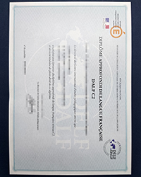 Buy a fake DALF C2 diploma, high quality DELF/DALF certificate for sale