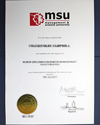 How much to Purchase a fake MSU diploma quickly and safely?