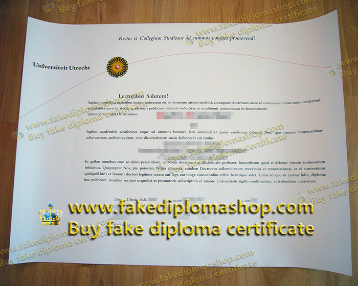 Utrecht University diploma