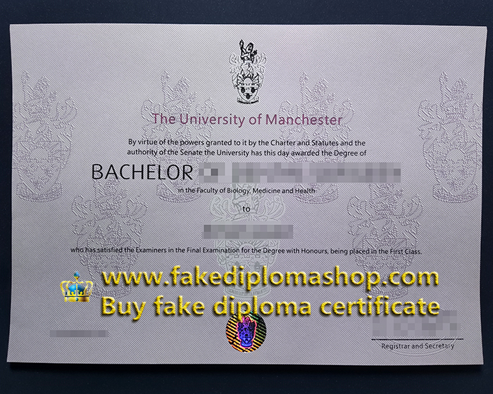 University of Manchester diploma, University of Manchester Bachelor degree