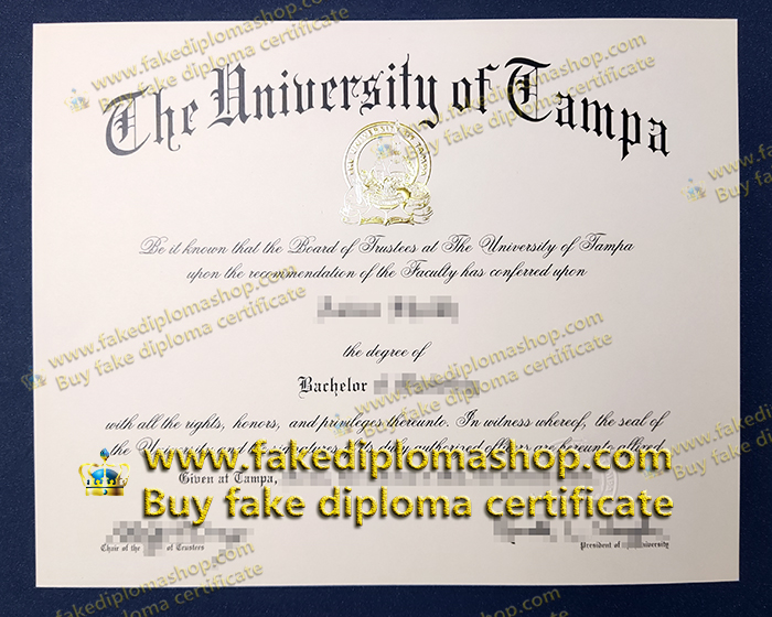 University of Tampa diploma of Bachelor of Marketing