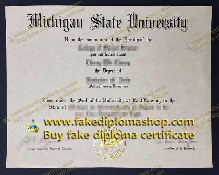 MSU diploma, Michigan State University diploma of Bachelor