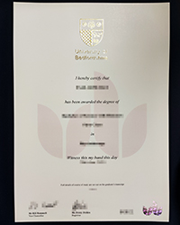 Earn the University of Bedfordshire diploma of Bachelor the safe and fast way