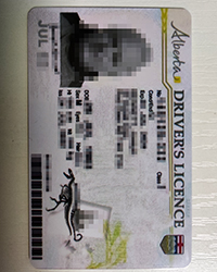 Best scannable Alberta driver’s license for sale, fake scannable Canada ID