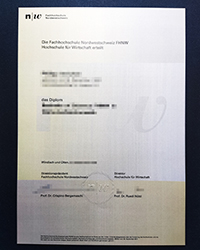 High quality FHNW diploma for sale, order a fake Fachhochschule Nordwestschweiz degree