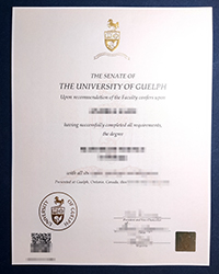 Purchase a phony University of Guelph diploma of Master quickly