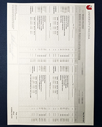 Purchase a fake University of Nicosia transcript to replace my Lost UNIC transcript