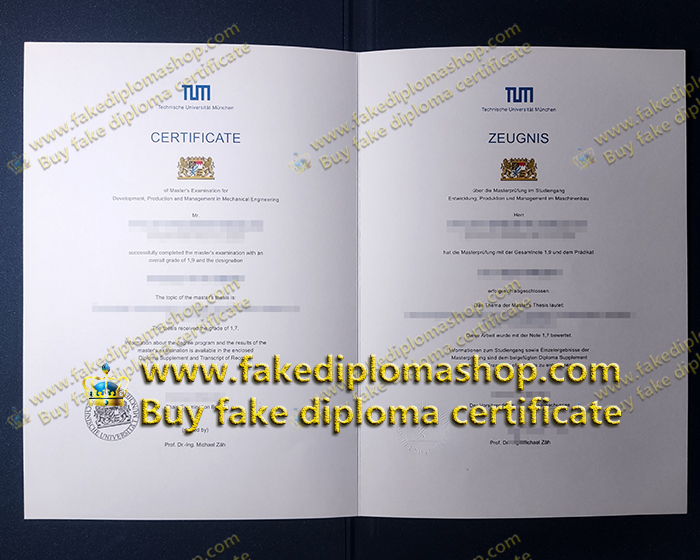 TUM diploma and certificate, Technical University of Munich certificate