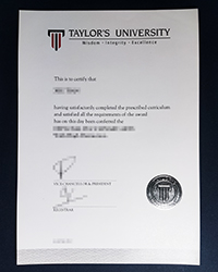 How to buy a fake Taylor’s University diploma for a better job?