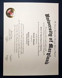 Premium University of Maryland, College Park diploma for sale, Fake UMD diploma