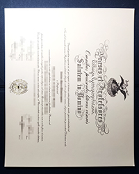 Who can make the best Georgetown College fake diploma for me?