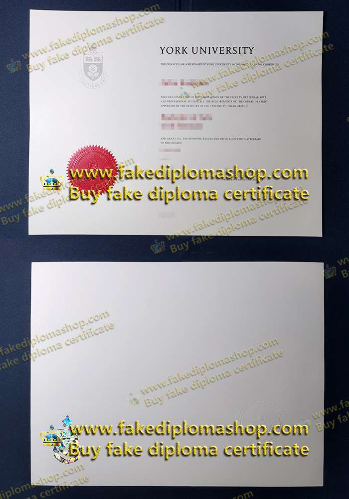 York University fake degree, YU bachelor diploma