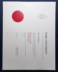 Order a York University fake degree with a real hologram