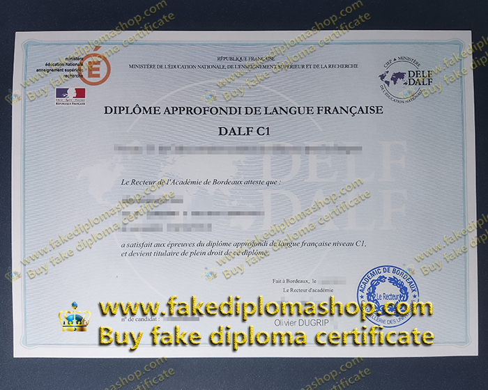 DELF C1 fake certificate, DELF diploma