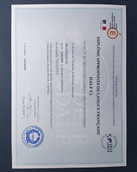 How cost to buy a DELF C1 fake certificate online?