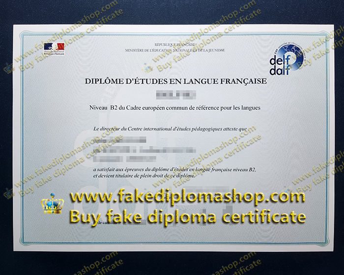 DELF B2 certificate, Diplôme d'études en langue française certificate