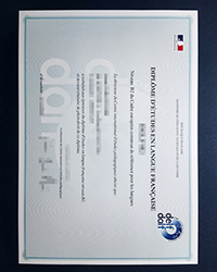 Premium DELF B2 certificate, Order a fake Diplôme d’études en langue française certificate