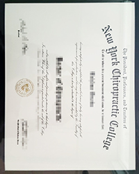 Buy a fake New York Chiropractic College degree with a real gold seal and UV