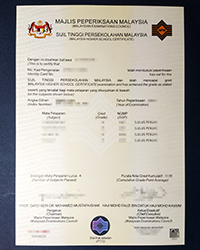 Where to get a fake STPM transcript (Sijil Tinggi Pelajaran Malaysia transcript) online?